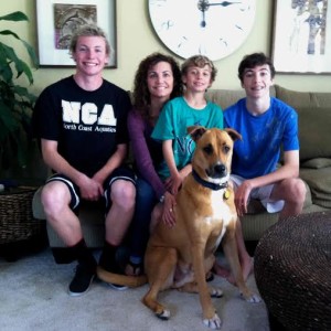 Rocky adopted
