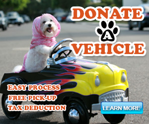 Vehicle donation