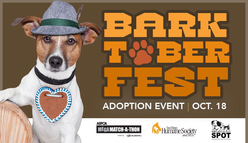 Barktoberfest Saving Pets One At A Time Animal Rescue Oceanside Ca