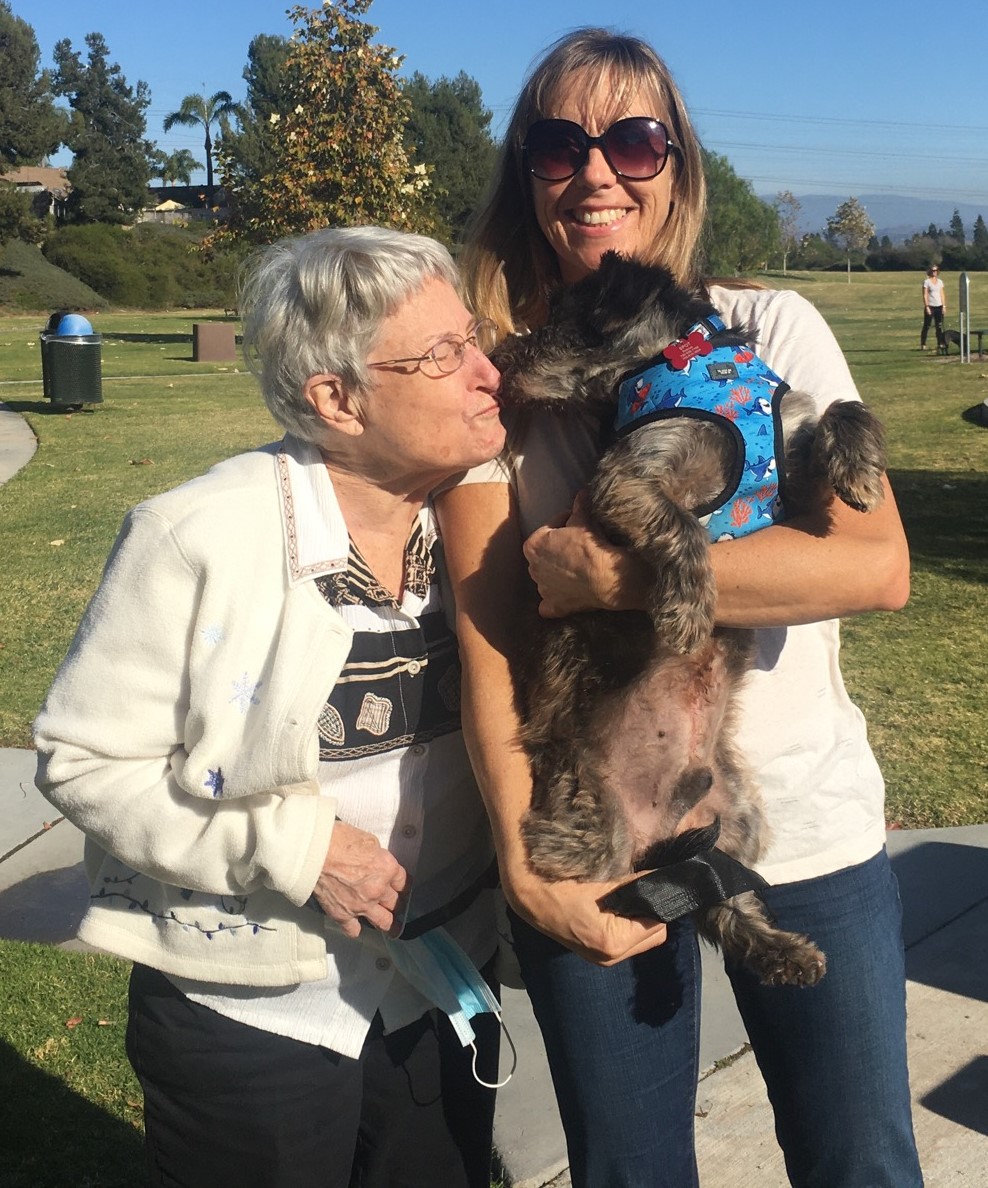 Charlie Brown adopted - Saving Pets One at a TIme | Animal Rescue |  Oceanside, CA